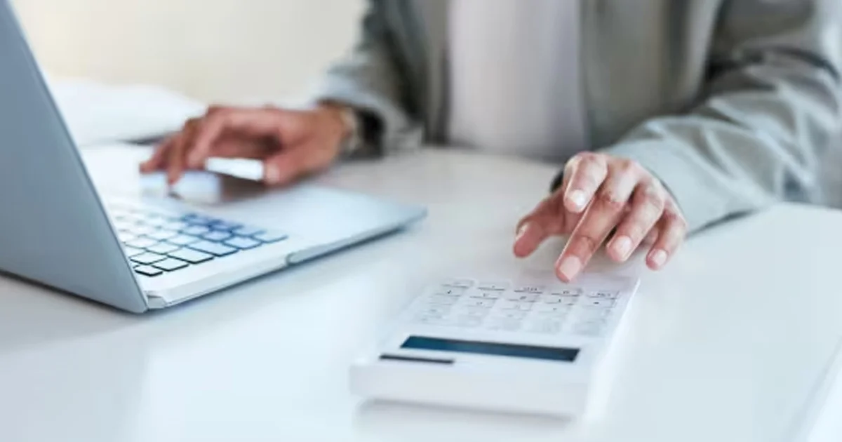 Inside the NetSuite Customer Payment Record