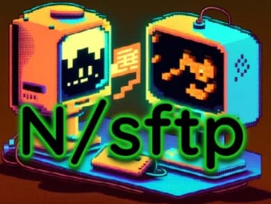 SuiteScript sFTP Module: Upload & Download Files